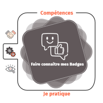
Lien vers: https://acoustice.educagri.fr/OBEA/?CheneActivite1&course=Parcours1&module=Module3FaireConnaitreMesBadges