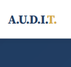 audit3.png