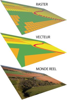 terrain_vect_rast3D.jpg