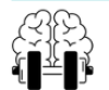 Le_cerveau.png